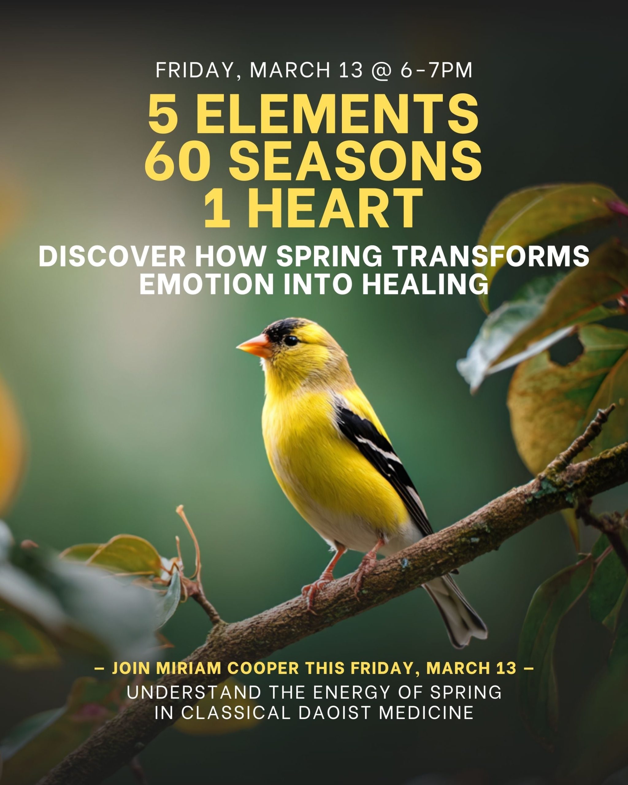 Miriam Cooper Classical Five-Element Acupuncture